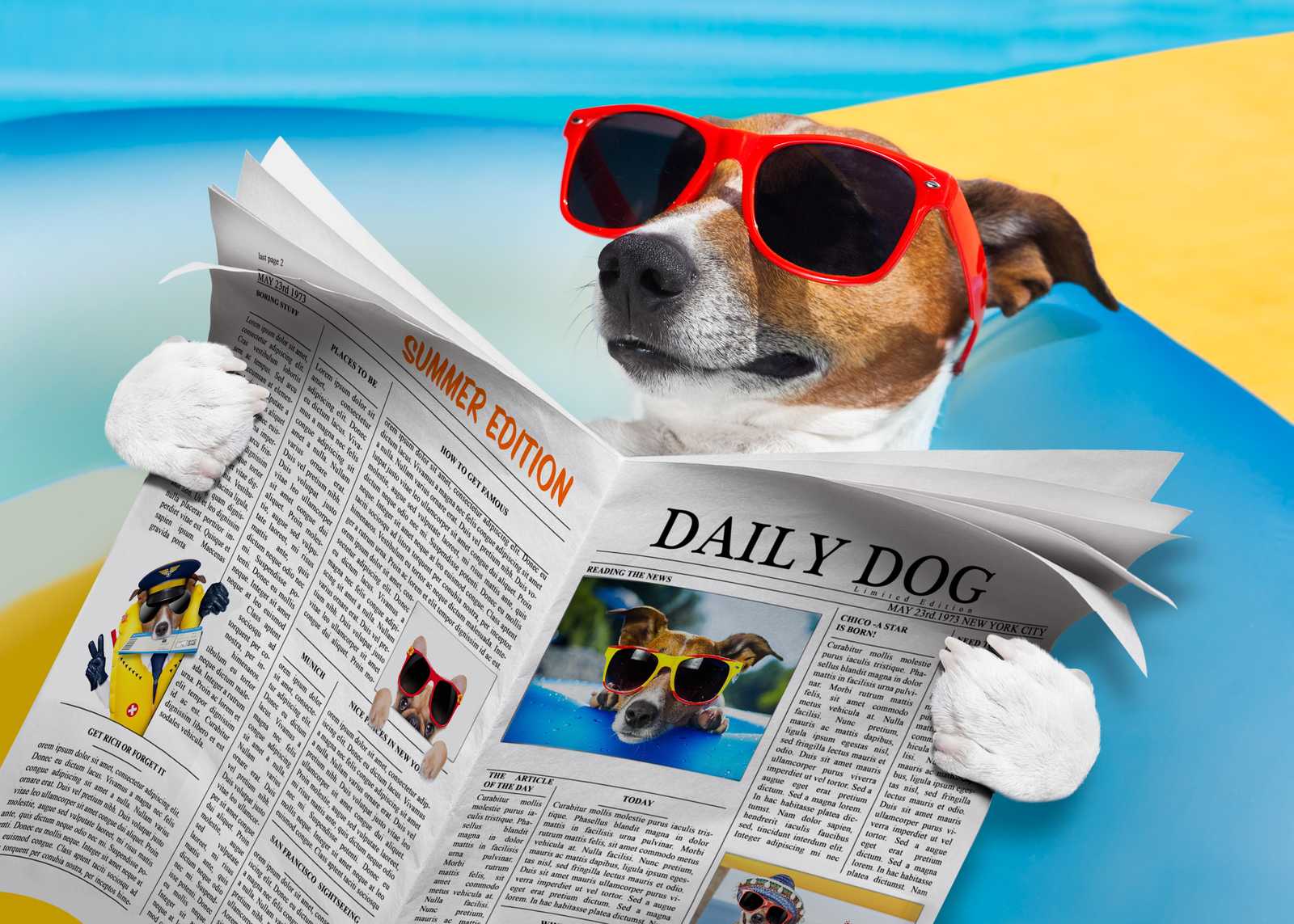 Dapper Dog Reading Newspaper Wall Art