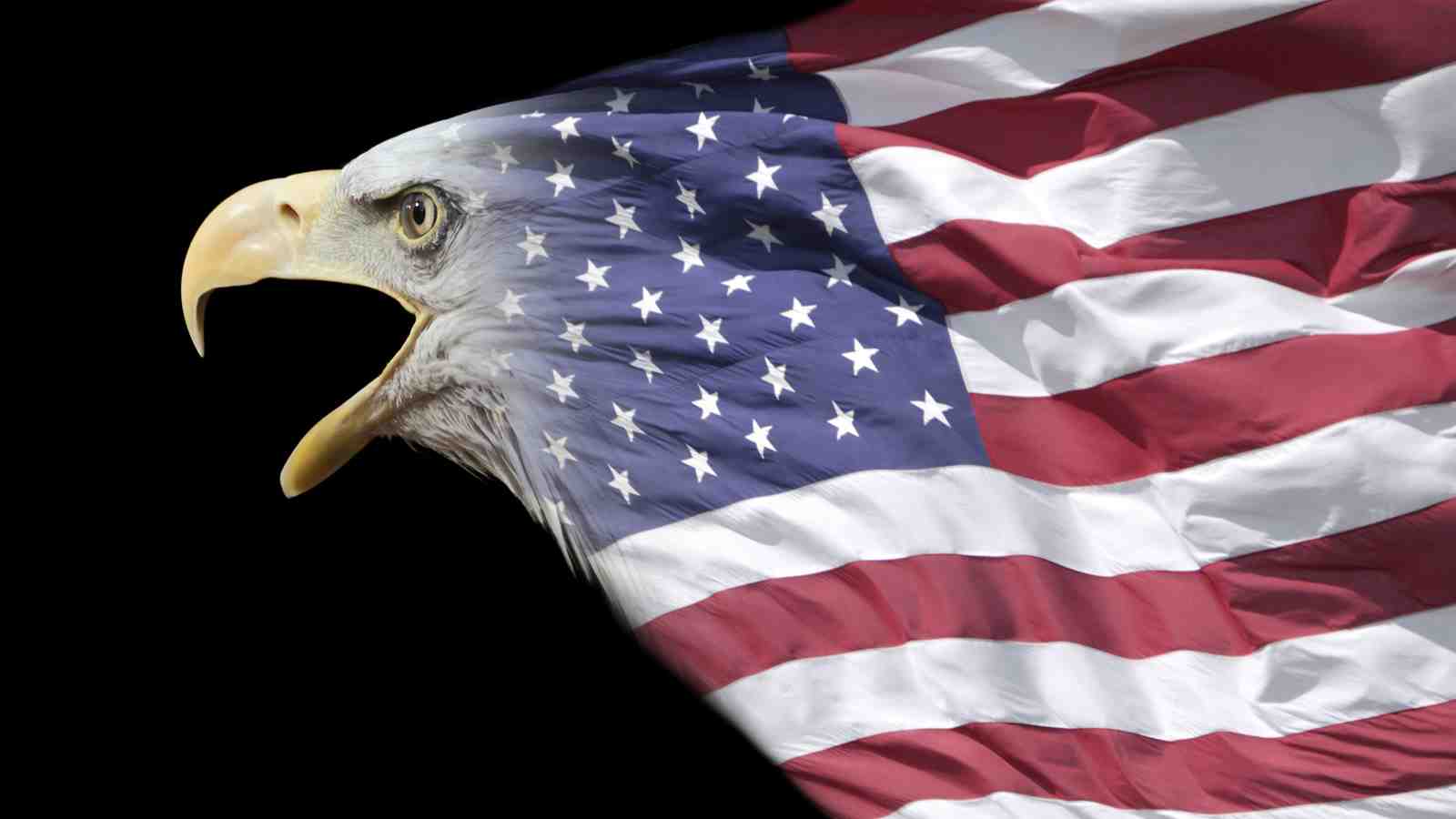 Majestic Eagle American Flag Wall Art