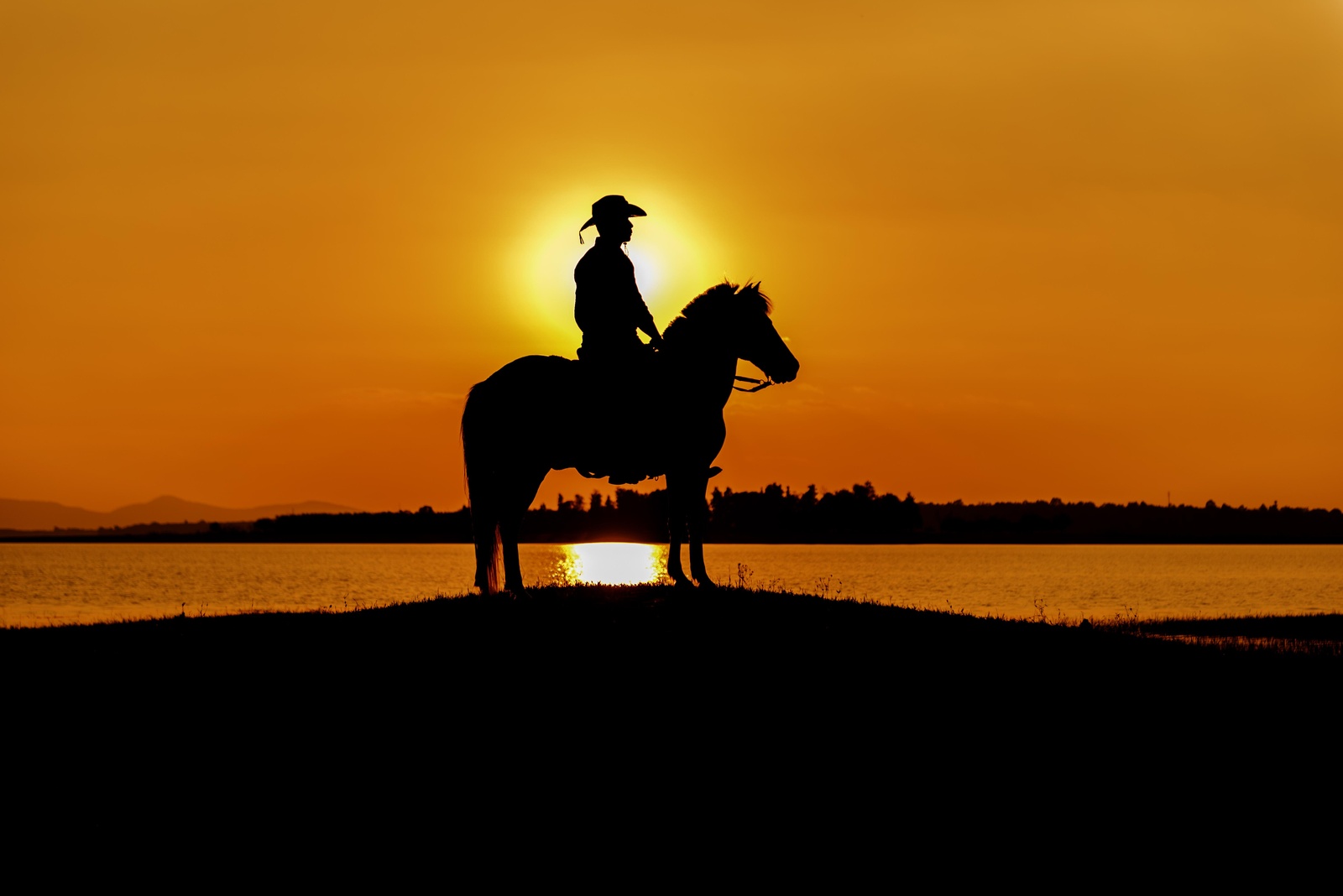Cowboy Sunset Horse Ride Wall Art