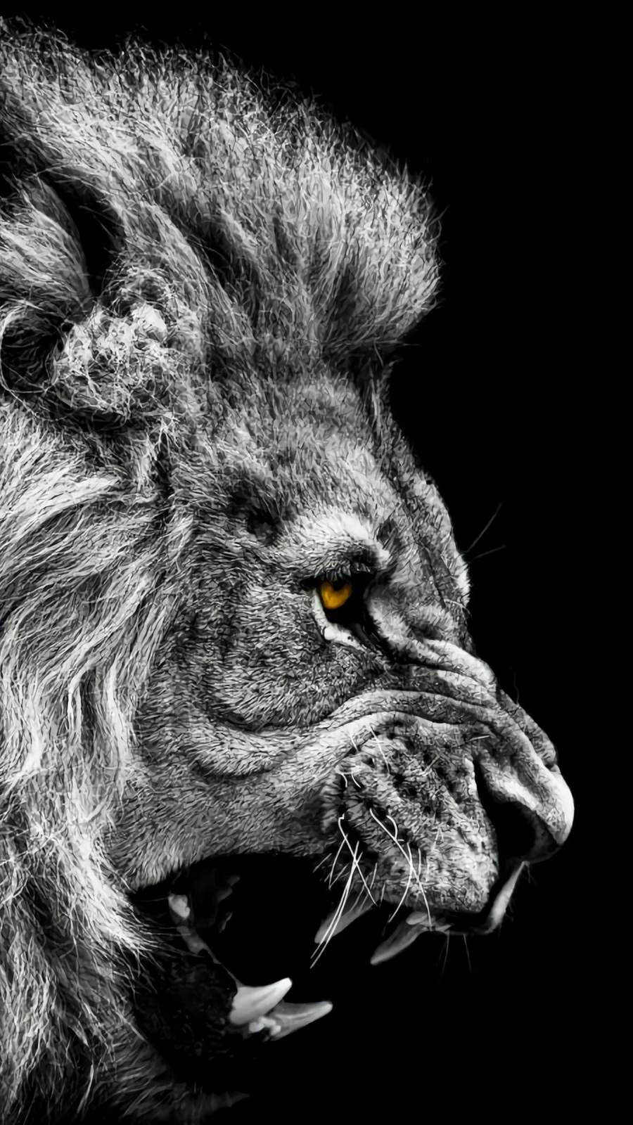 Roaring Lion Majestic Power Wall Art