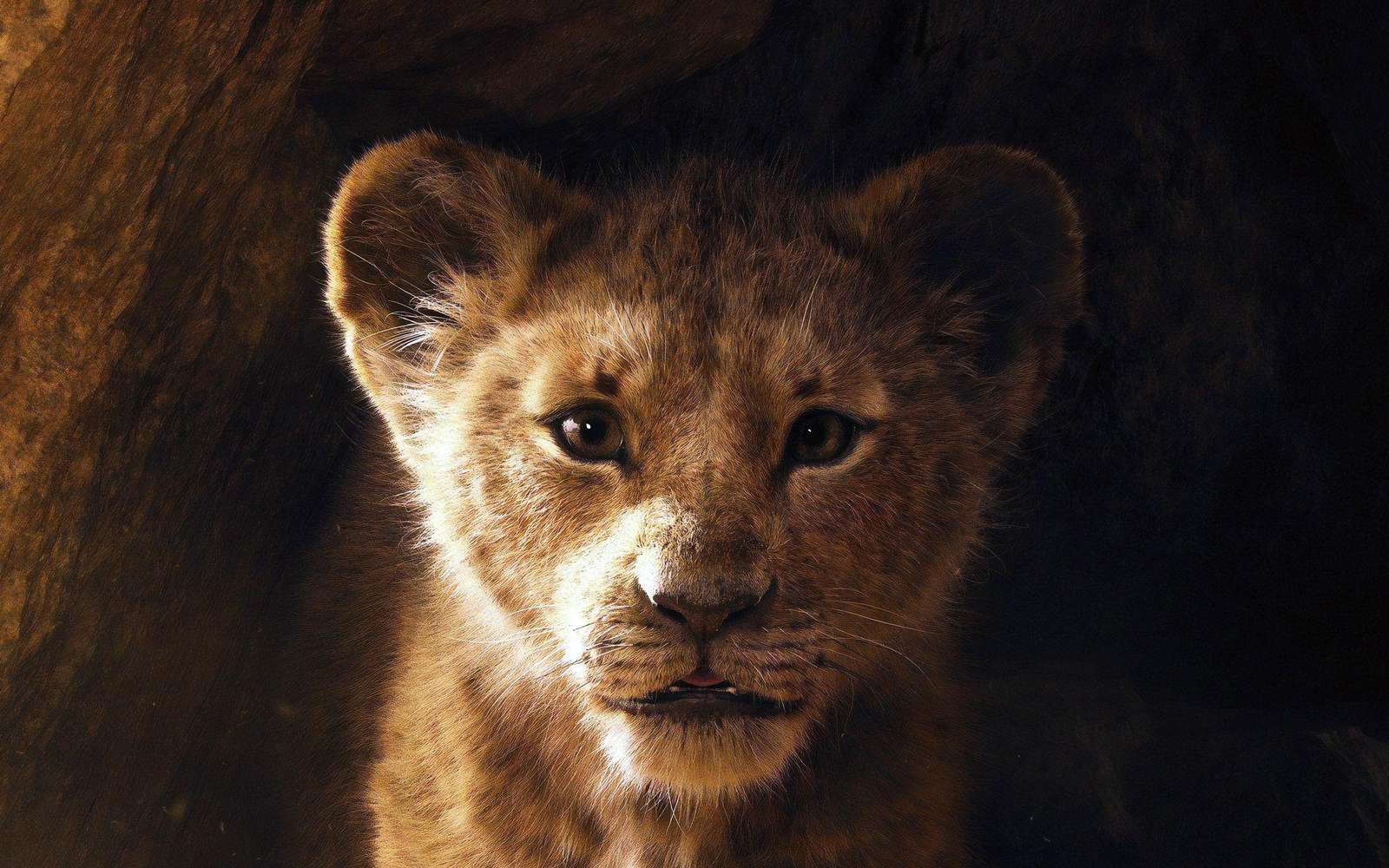 Majestic Lion Cub Close-Up Wall Art