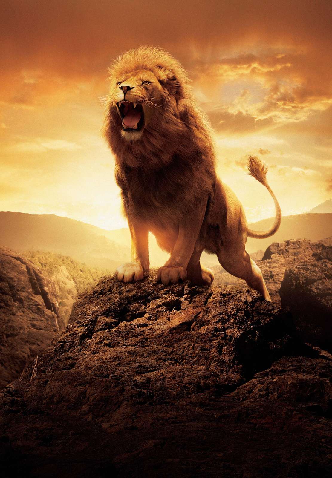Majestic Lion Roaring Wall Art - Animal Art