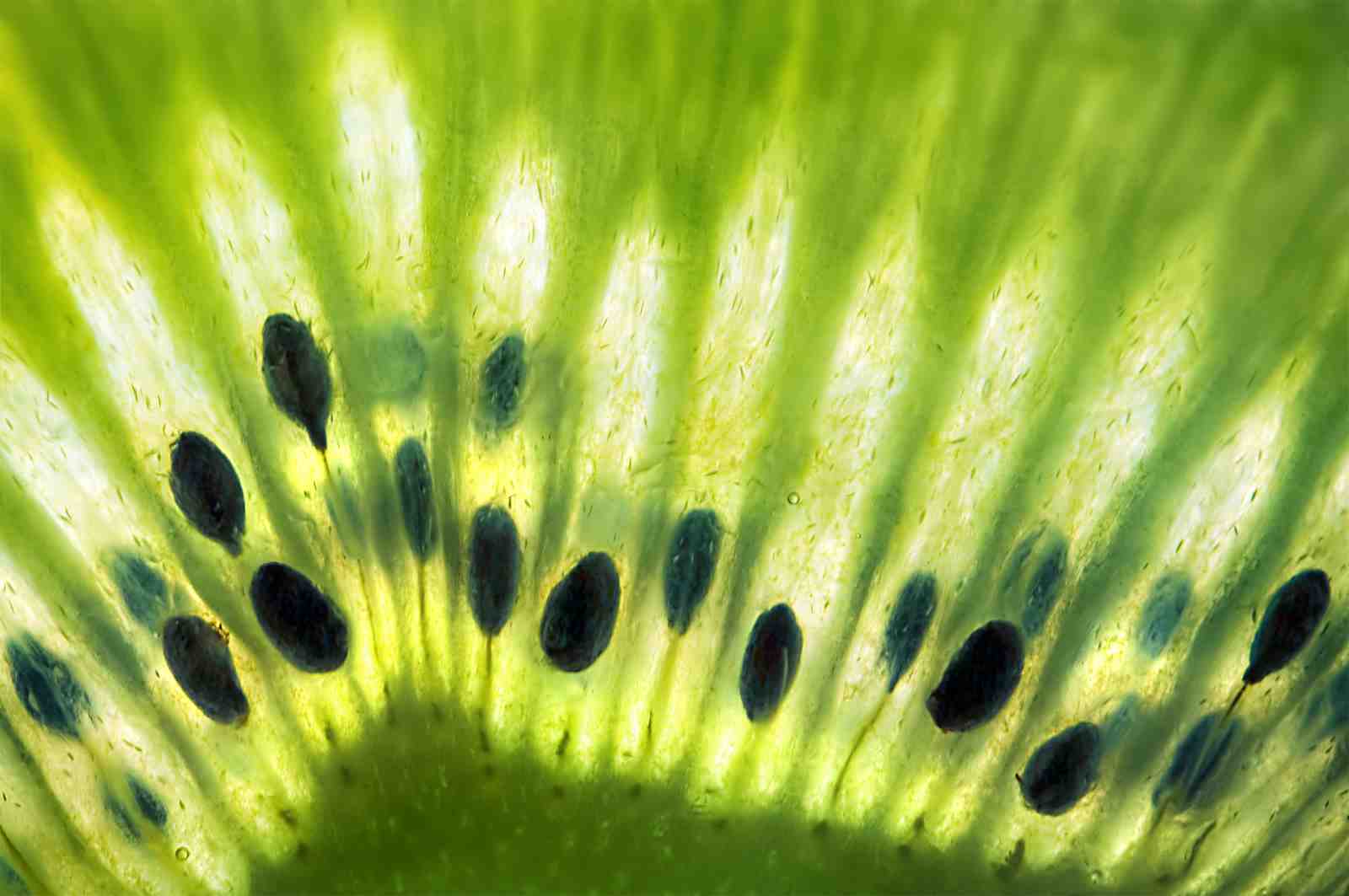 Vibrant Kiwi Slice Macro Art Wall Art