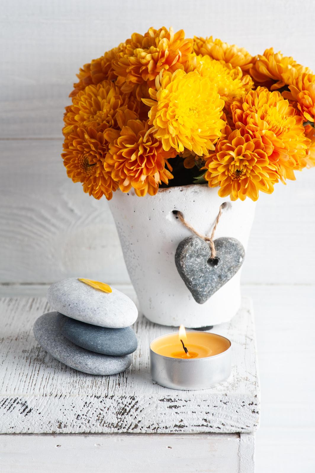 Vibrant Autumn Chrysanthemums & Zen Stones Wall Art