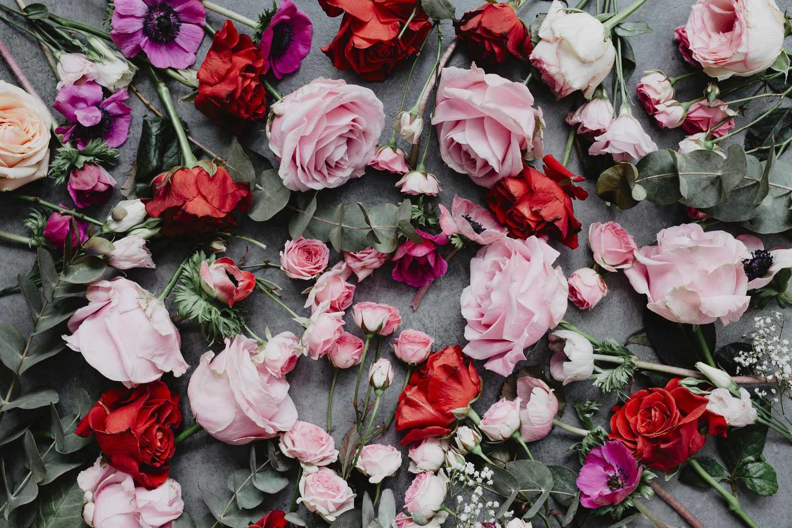 Romantic Rose & Anemone Floral Wall Art