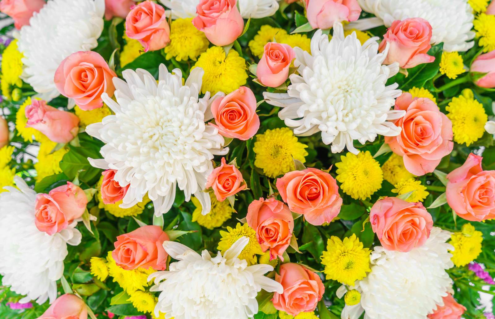 Elegant Peach Roses & White Chrysanthemum Wall Art
