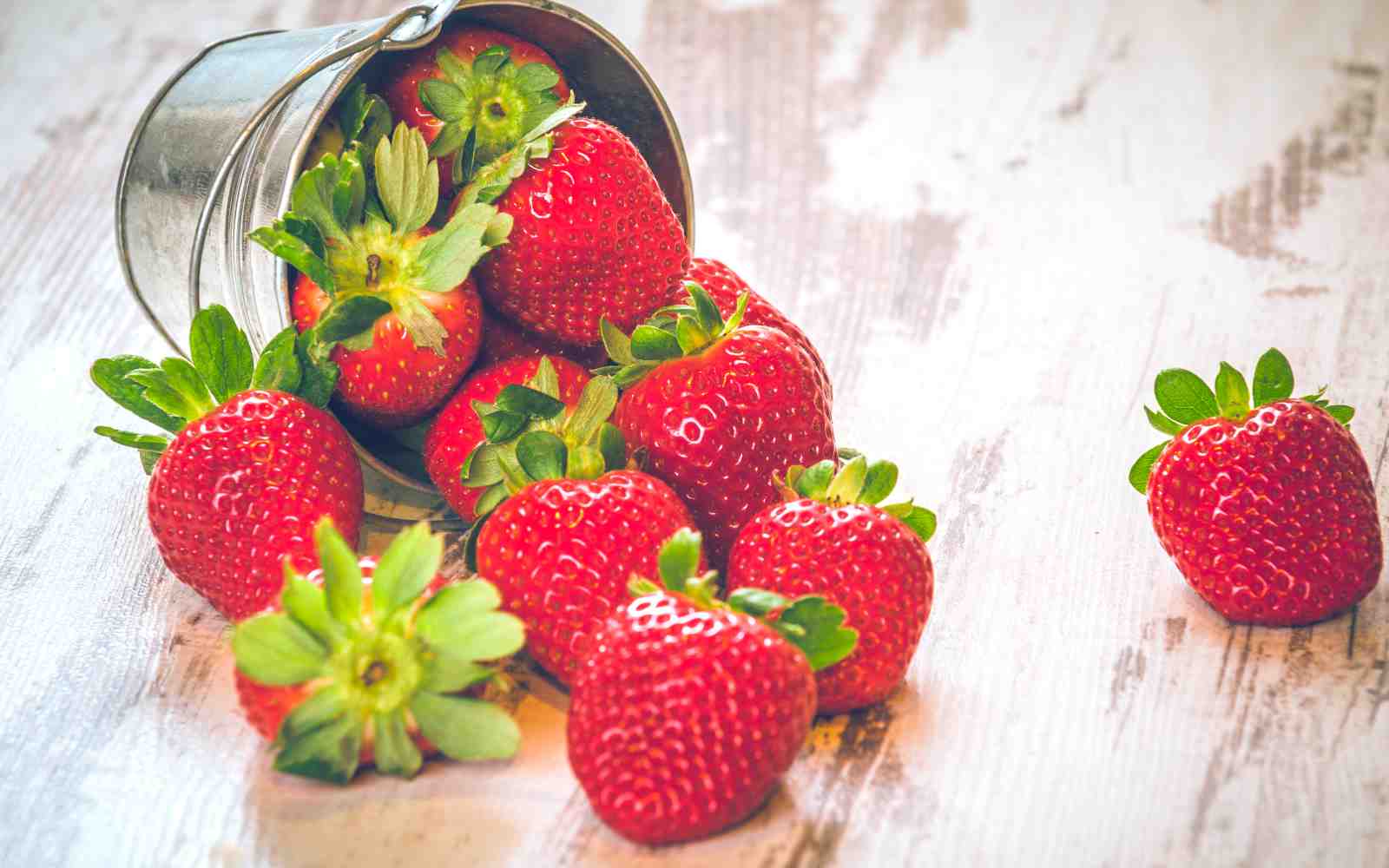 Fresh Strawberries Rustic Bucket Wall Art