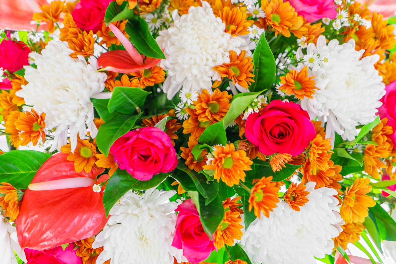 Vibrant Floral Burst Wall Art