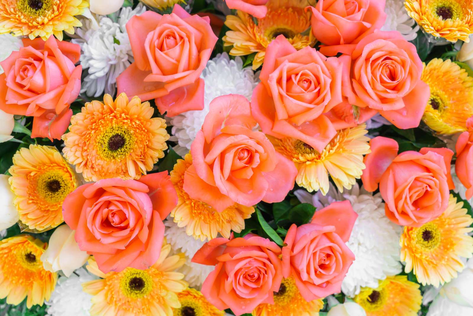 Coral Rose & Daisy Bouquet Wall Art