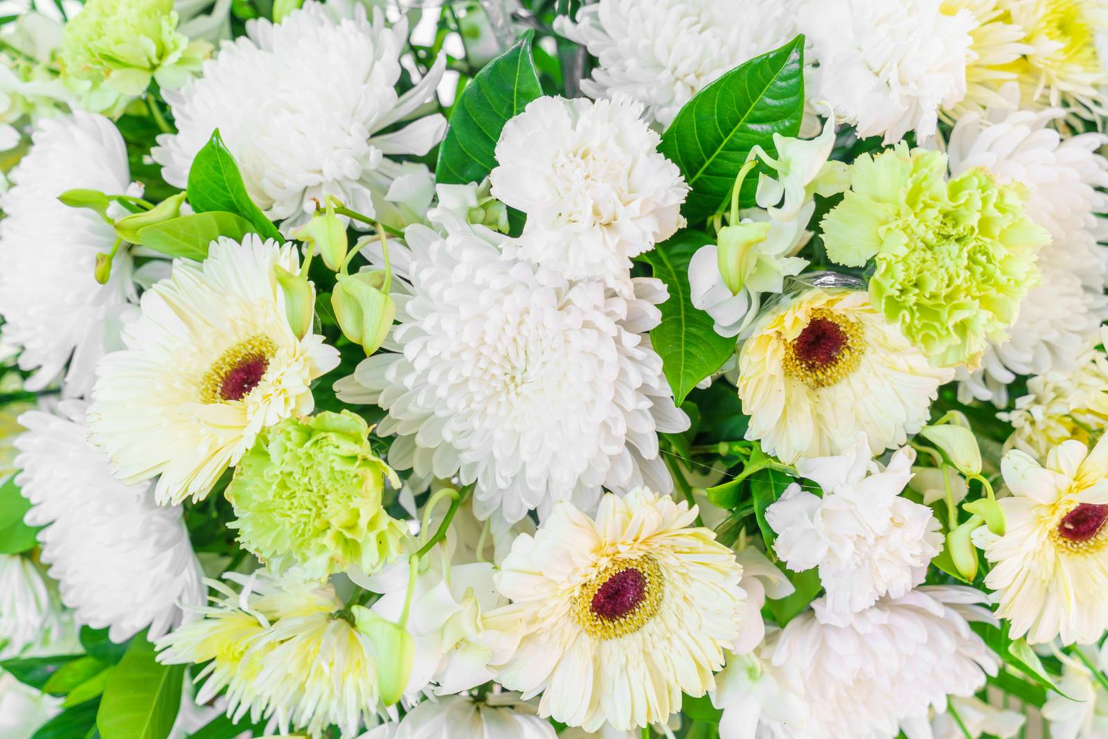 Serene White & Green Floral Arrangement Wall Art