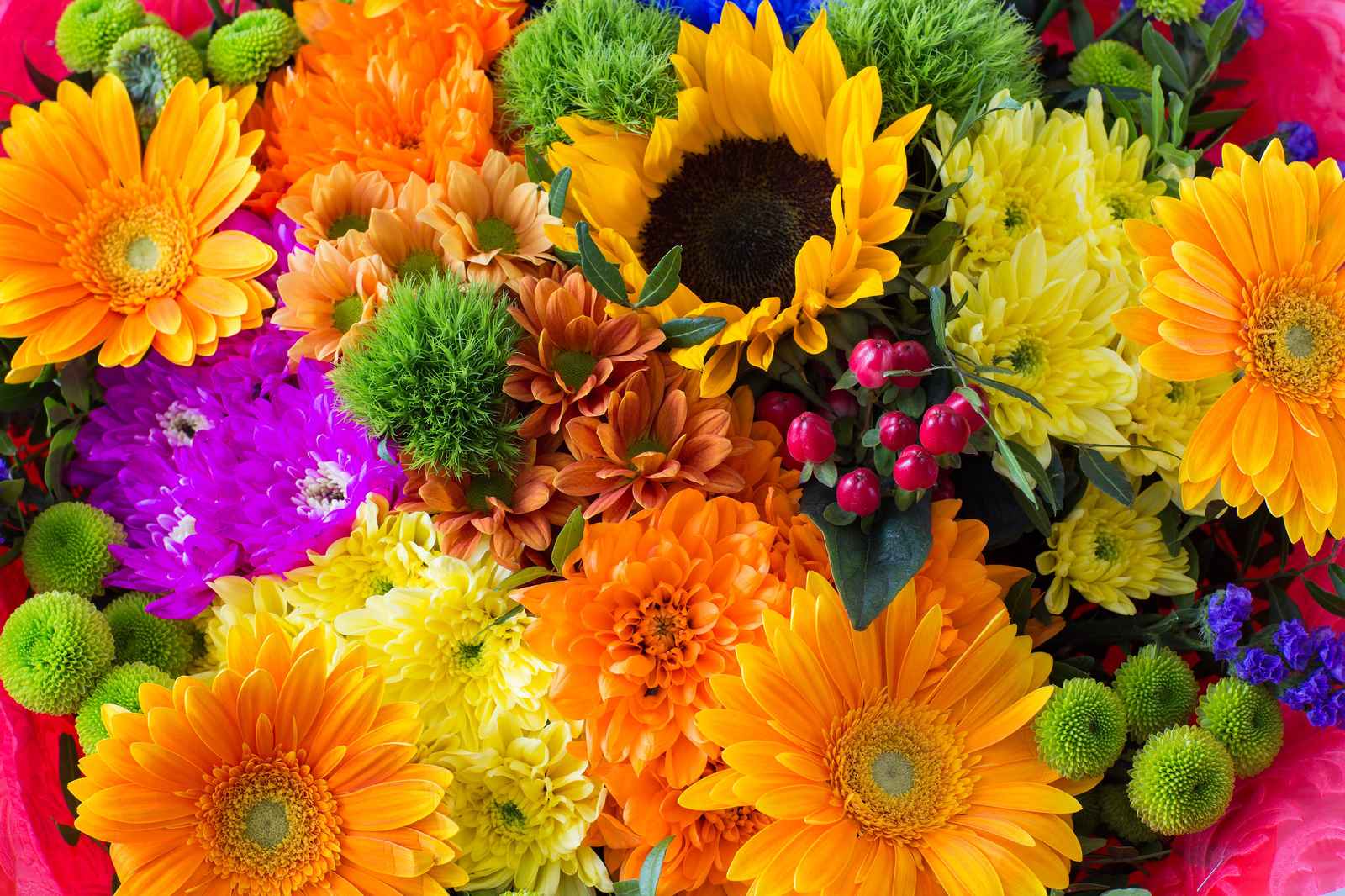 Vibrant Floral Burst Wall Art