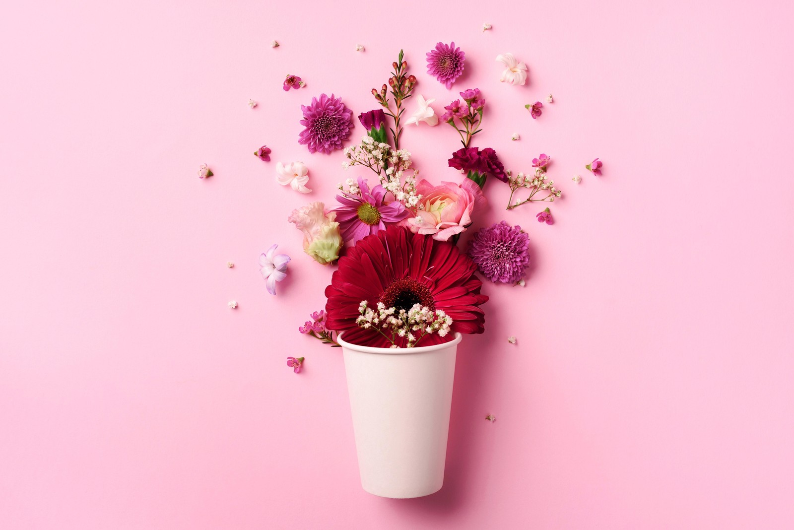 Vibrant Floral Delight Wall Art