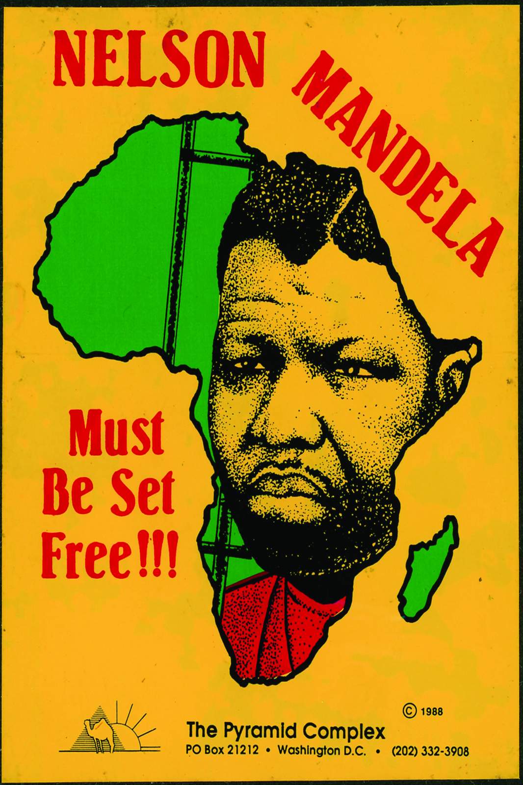 Nelson Mandela African Freedom Wall Art
