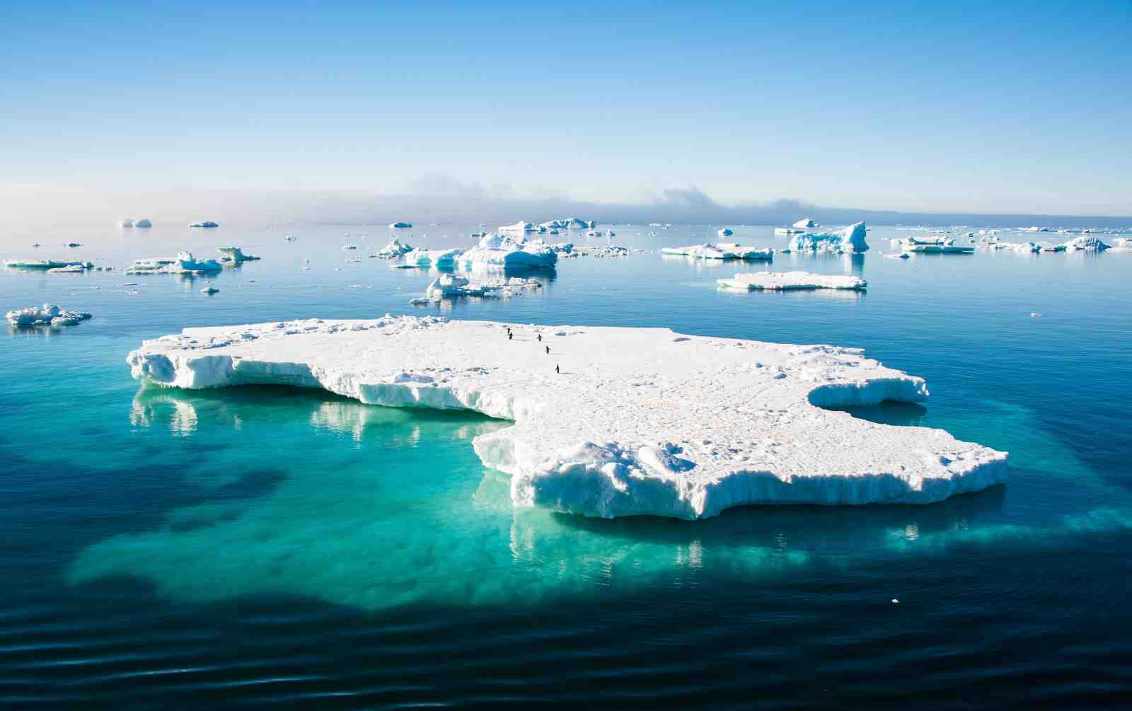 Serene Arctic Iceberg & Penguins Wall Art
