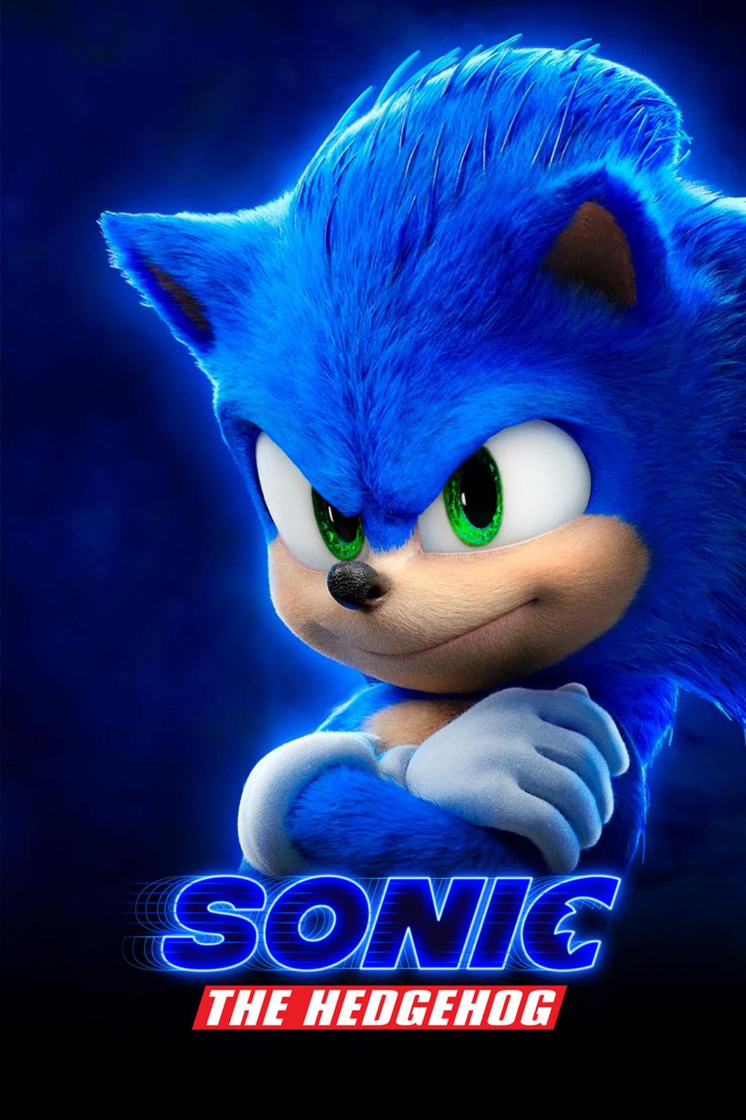 Sonic the Hedgehog Movie Poster Wall Art