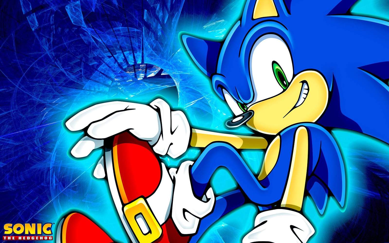 Sonic the Hedgehog Speedster Wall Art
