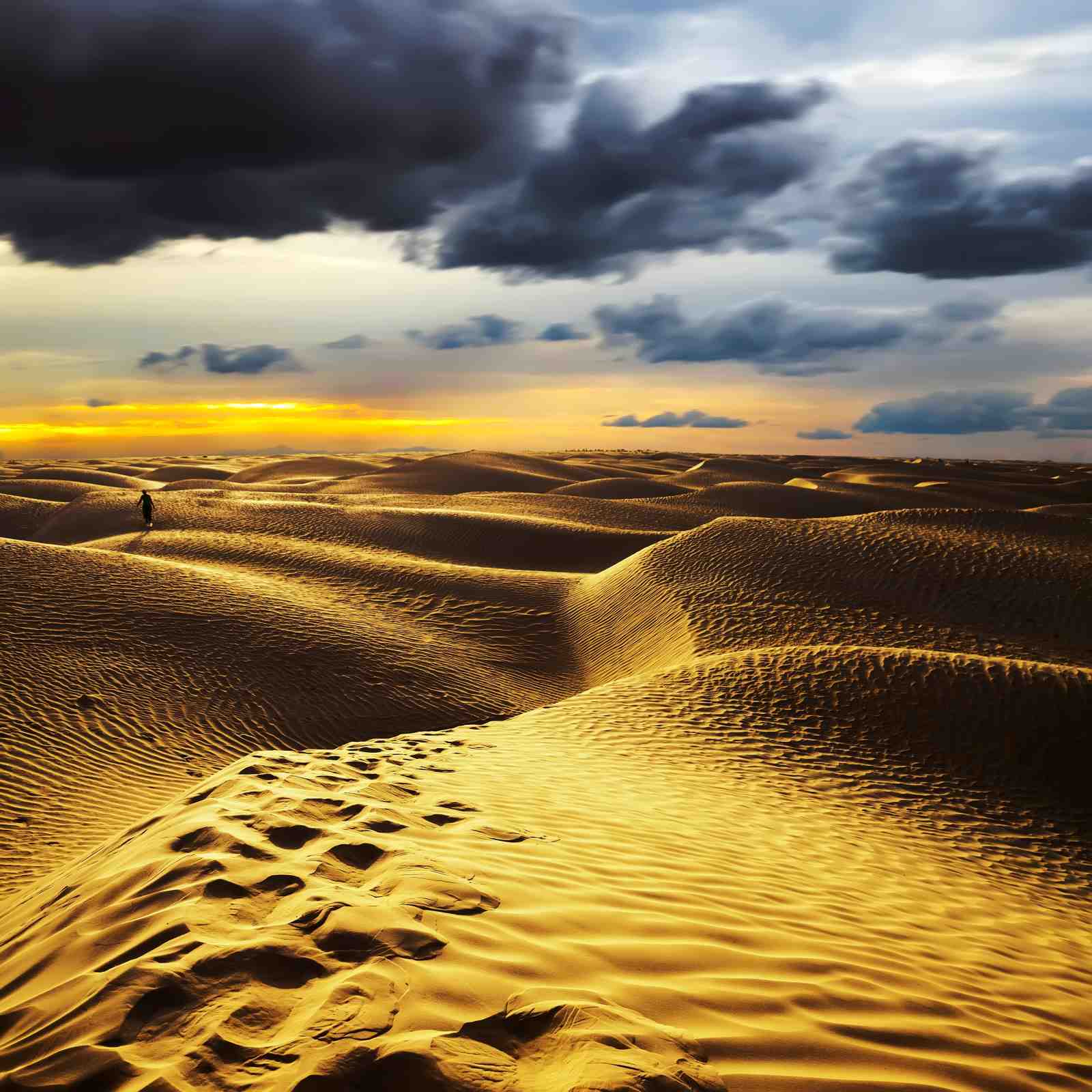 Golden Desert Dunes Serenity Wall Art