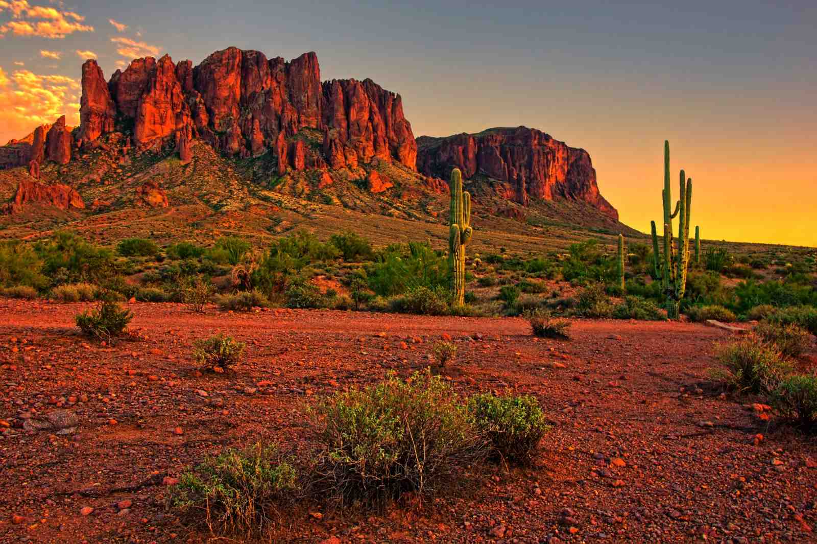 Desert Sunset Saguaro Canyon Wall Art