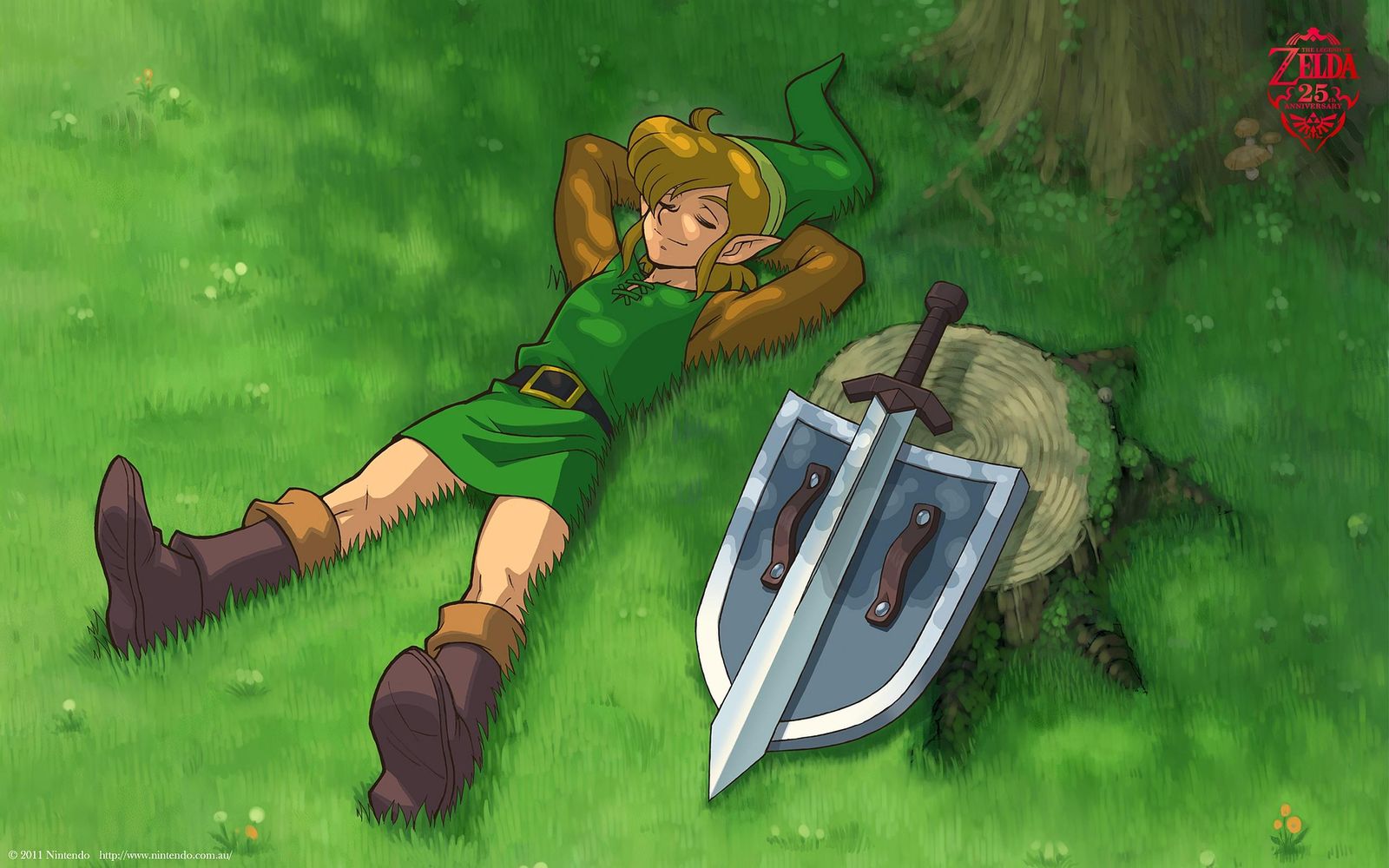 Link's Peaceful Slumber Legend of Zelda Wall Art