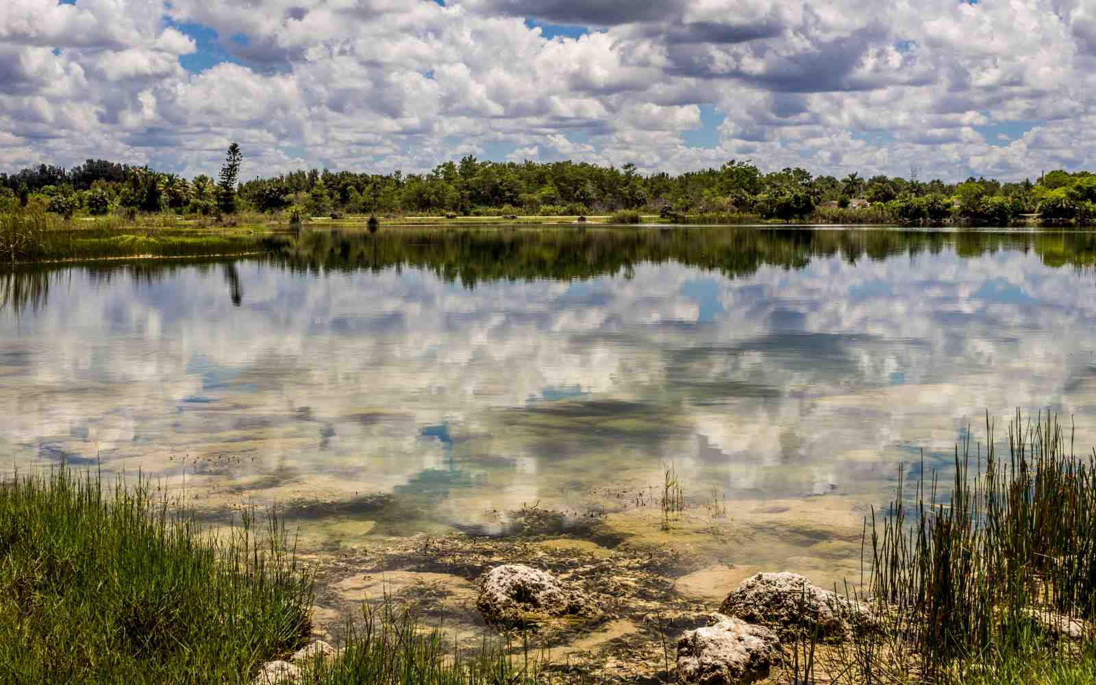 Serene Lake Reflection Wall Art