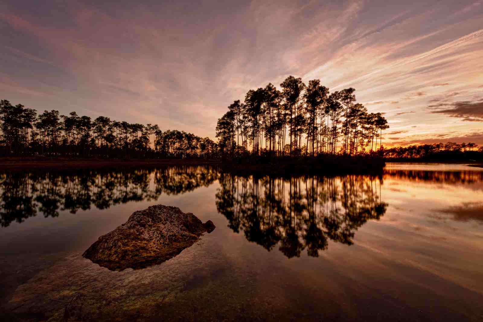 Serene Sunset Lake Trees Wall Art