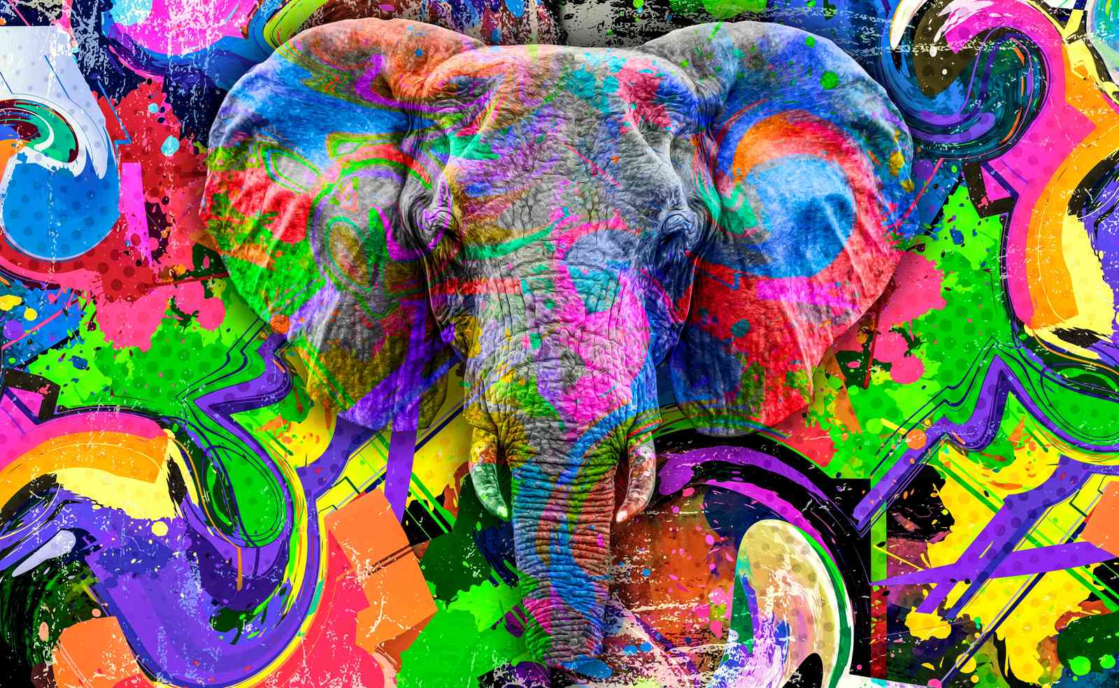 Vibrant Graffiti Elephant Wall Art
