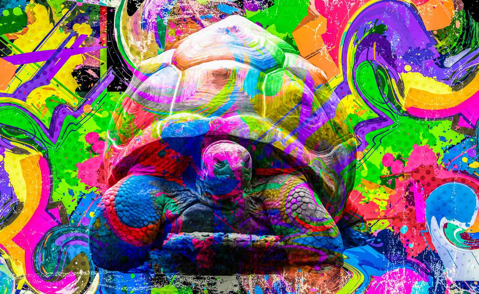 Vibrant Psychedelic Turtle Wall Art
