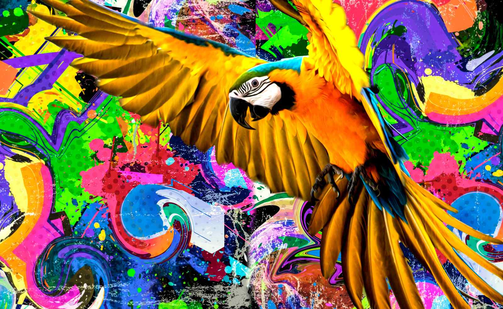 Vibrant Parrot Graffiti Wall Art