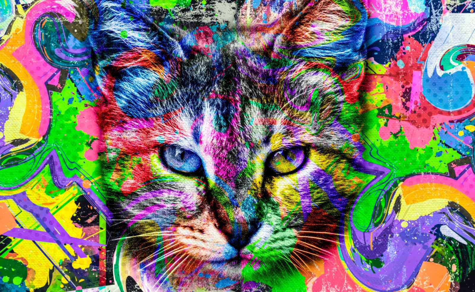 Vibrant Graffiti Cat Wall Art