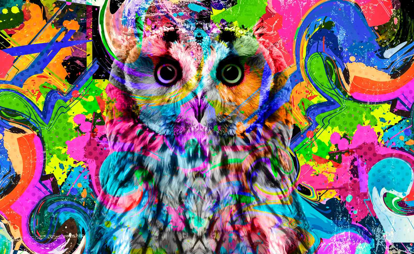 Vibrant Owl Graffiti Art Wall Art