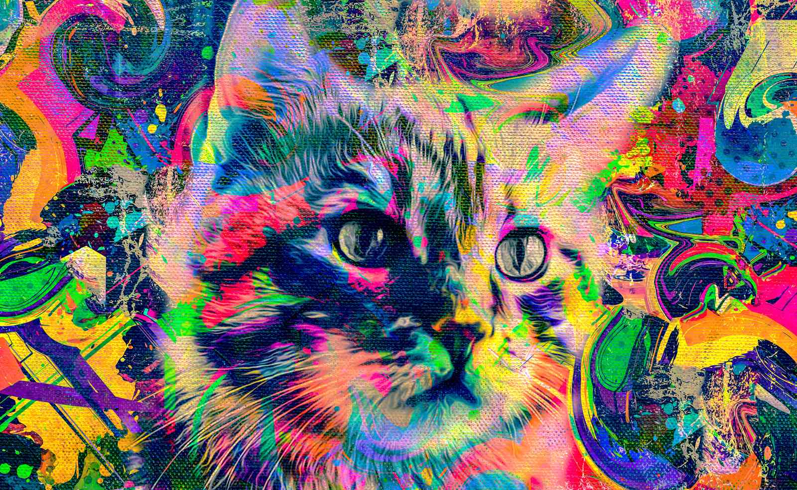 Vibrant Cat Psychedelic Art Wall Art