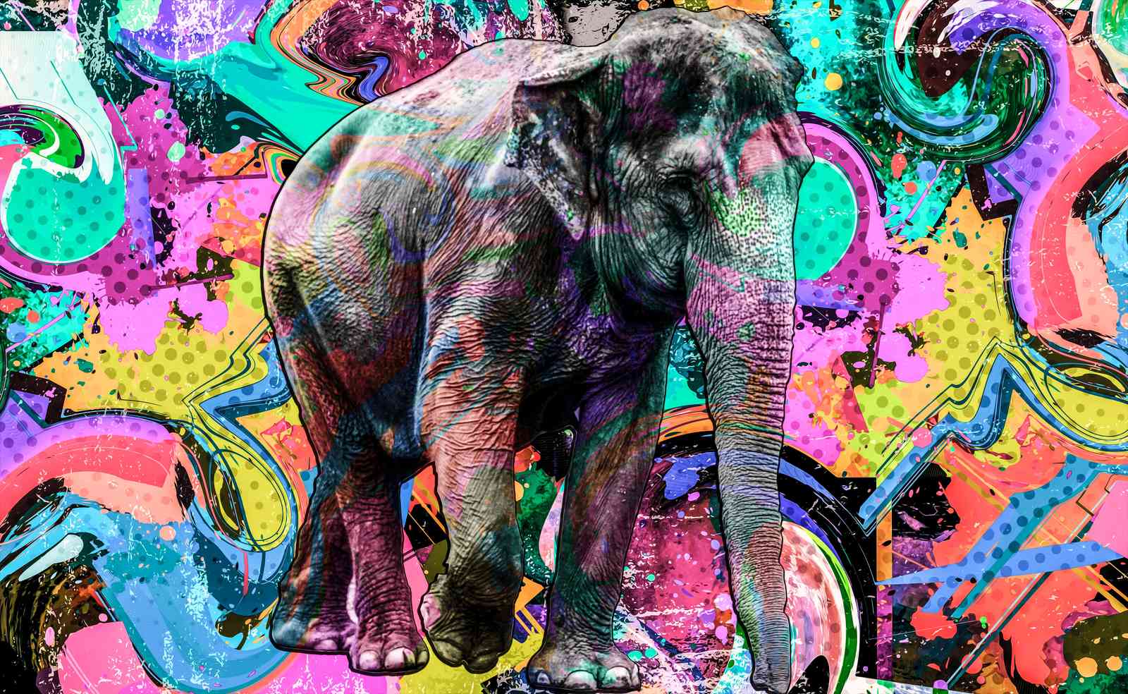 Vibrant Graffiti Elephant Wall Art Art