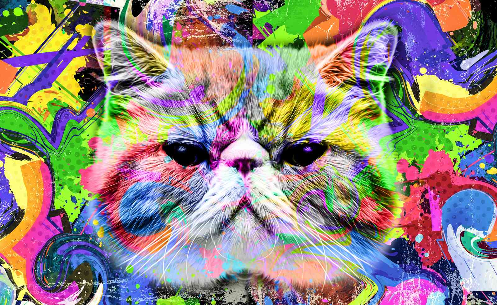 Vibrant Graffiti Cat Portrait Wall Art