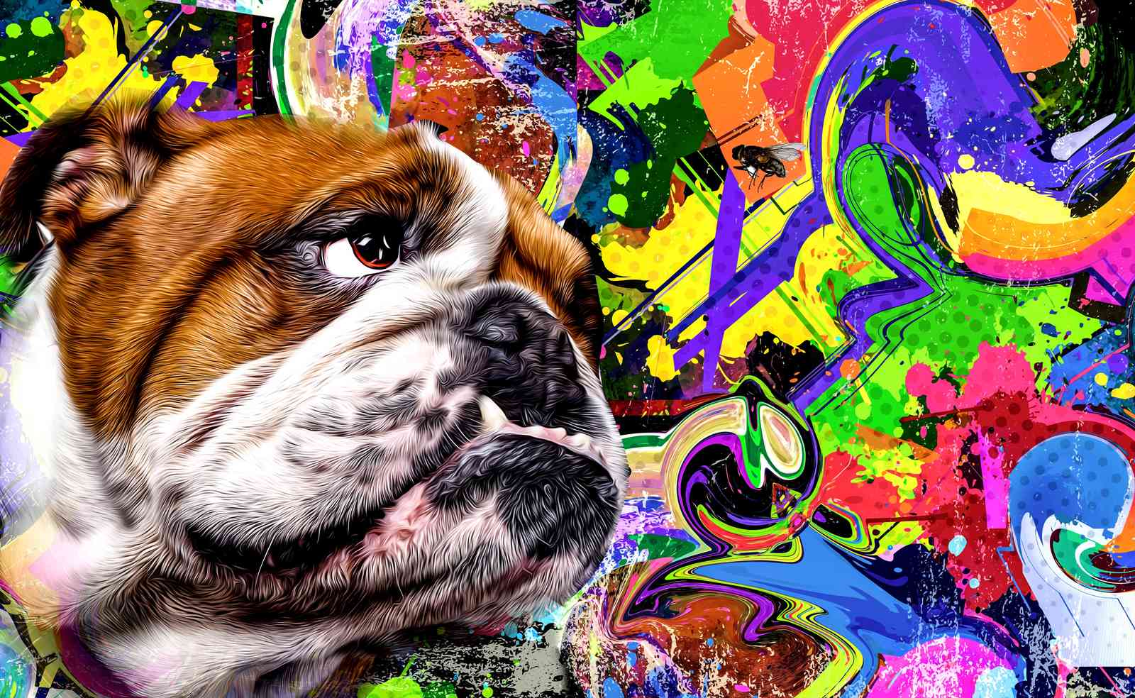 Vibrant Bulldog Graffiti Art Wall Art