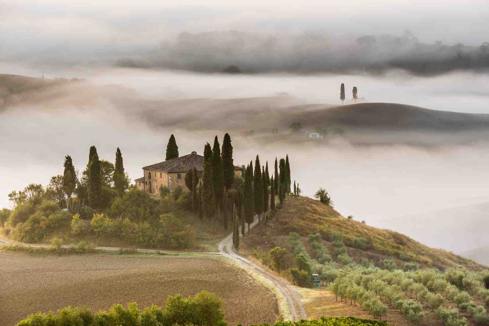 Tuscan Estate Foggy Morning Wall Art