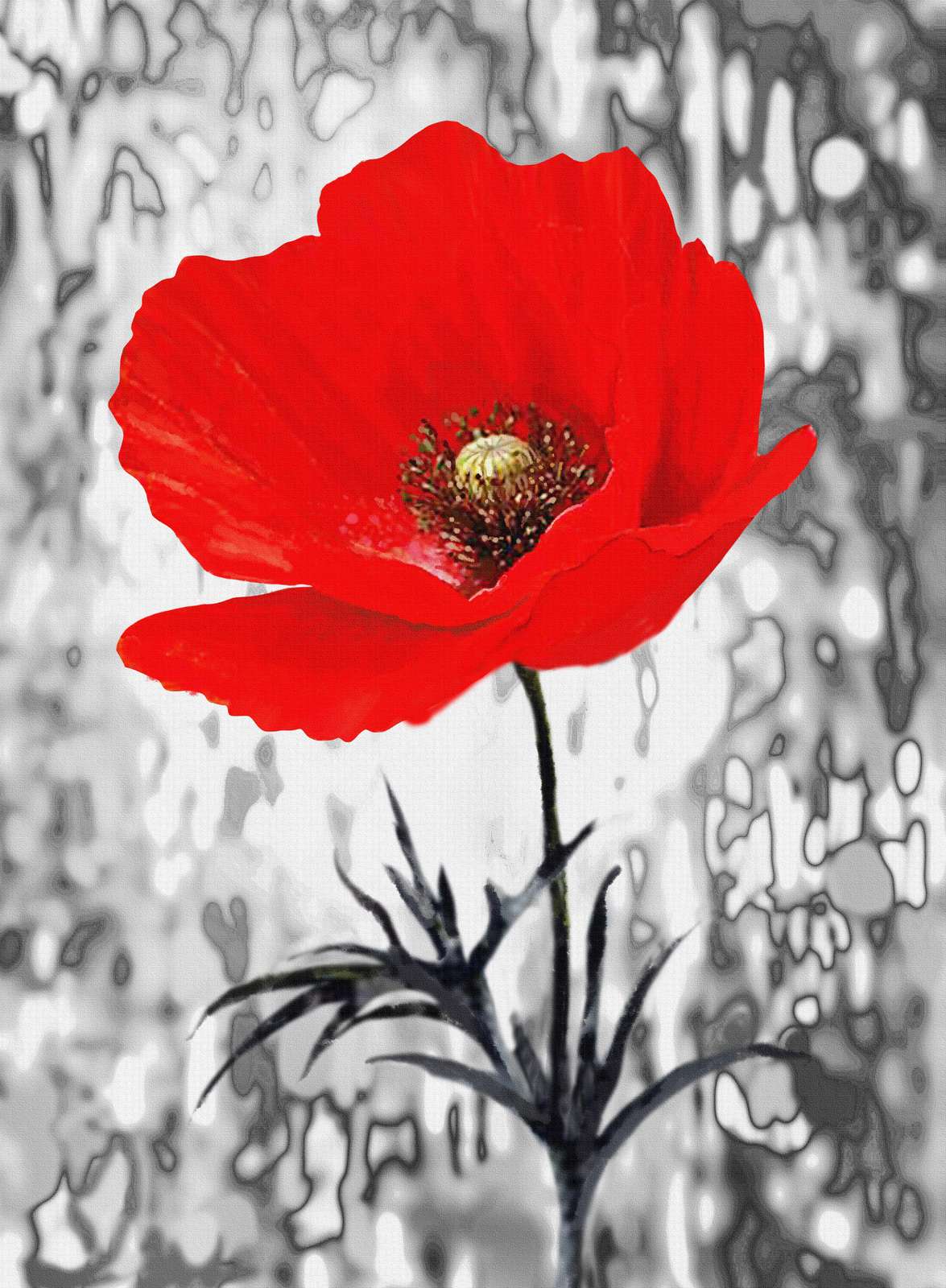 Vibrant Red Poppy Nature Wall Art