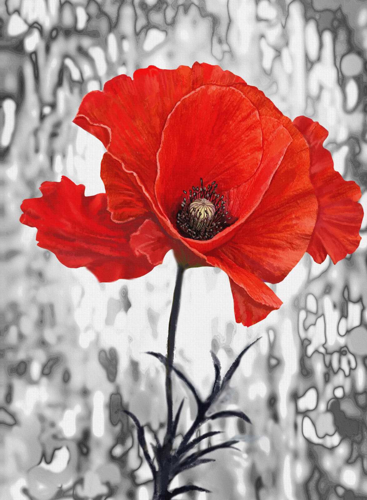 Vibrant Red Poppy 'Life's Burst' Wall Art