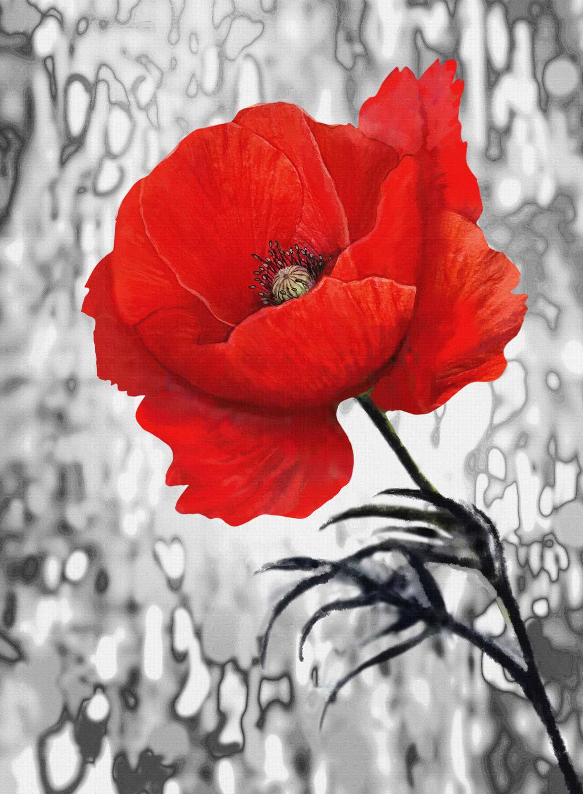 Vibrant Red Poppy Artistic Wall Art