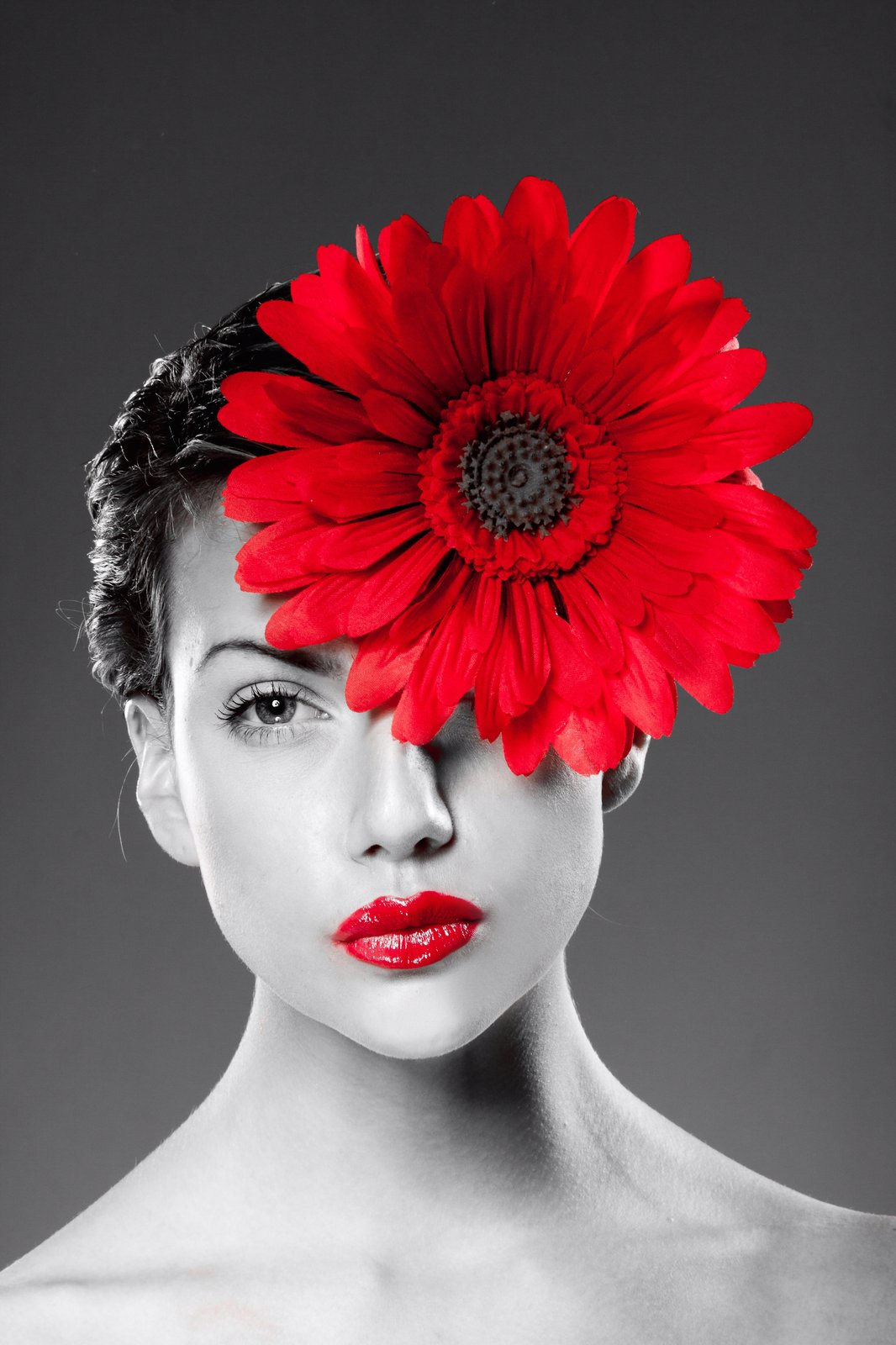 Bold Red Flower Portrait Wall Art
