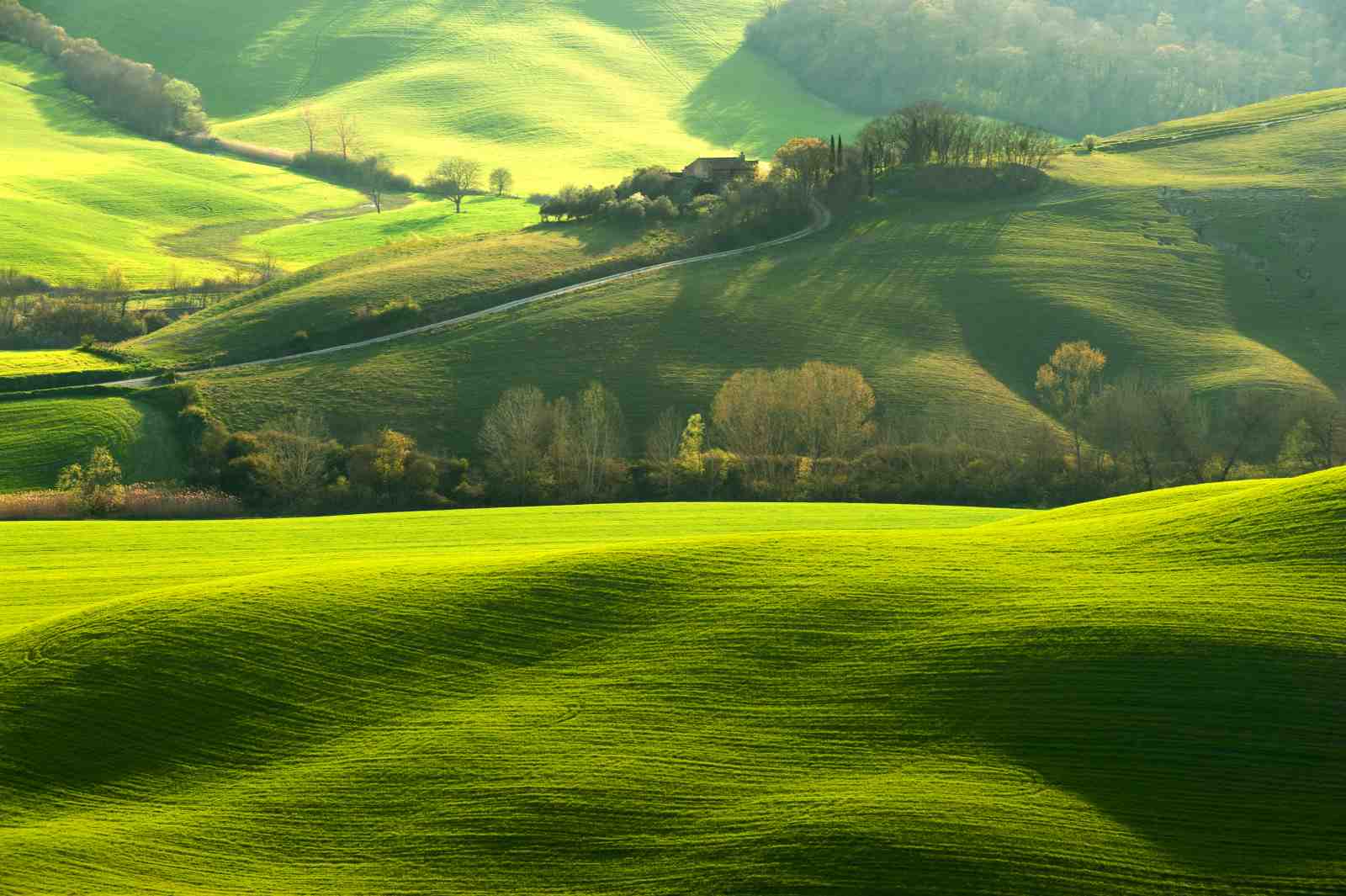 Tuscan Rolling Hills Landscape Wall Art