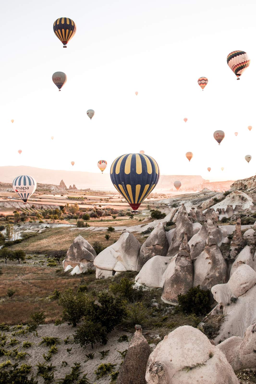 Cappadocia Hot Air Balloons Wall Art