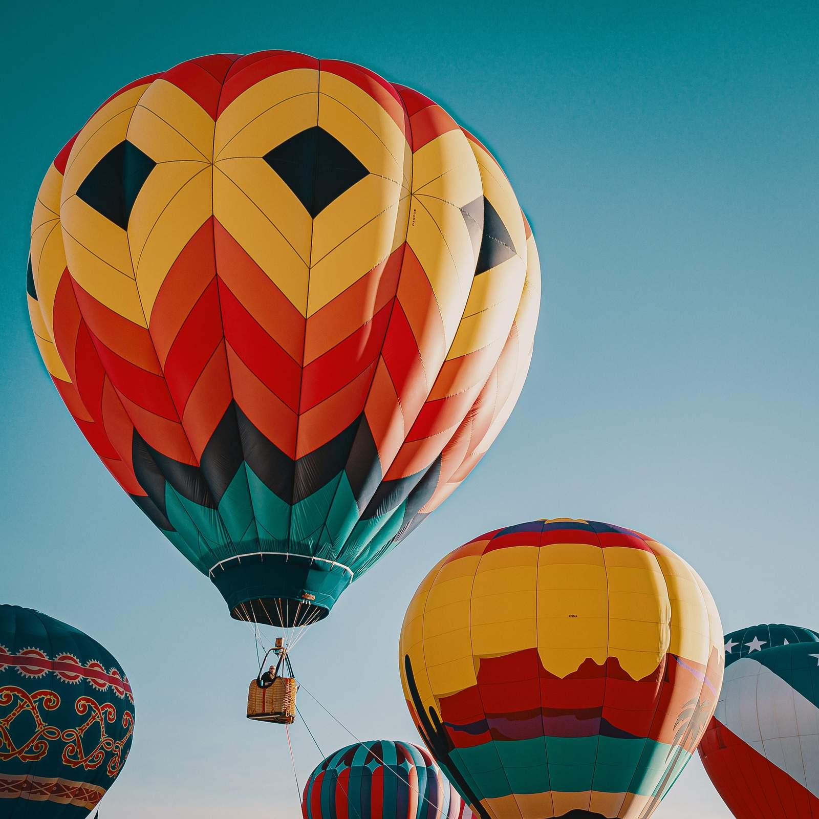 Vibrant Hot Air Balloons Wall Art