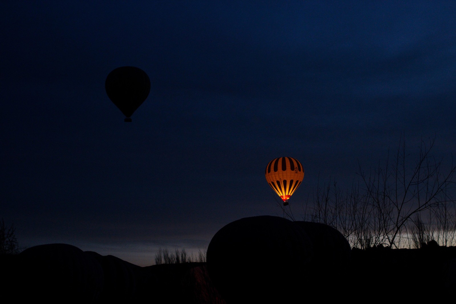 Night Sky Hot Air Balloons Wall Art