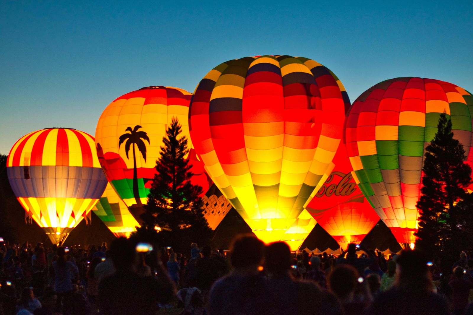 Vibrant Hot Air Balloon Festival Wall Art