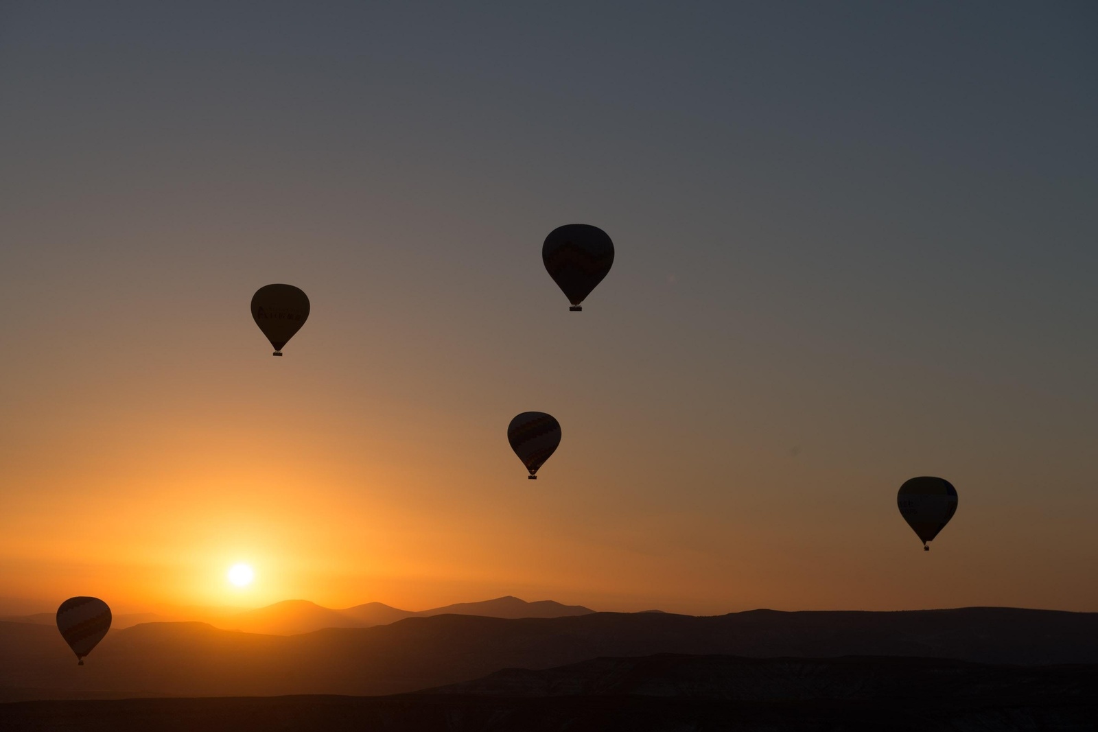 Sunrise Hot Air Balloon Adventure Wall Art