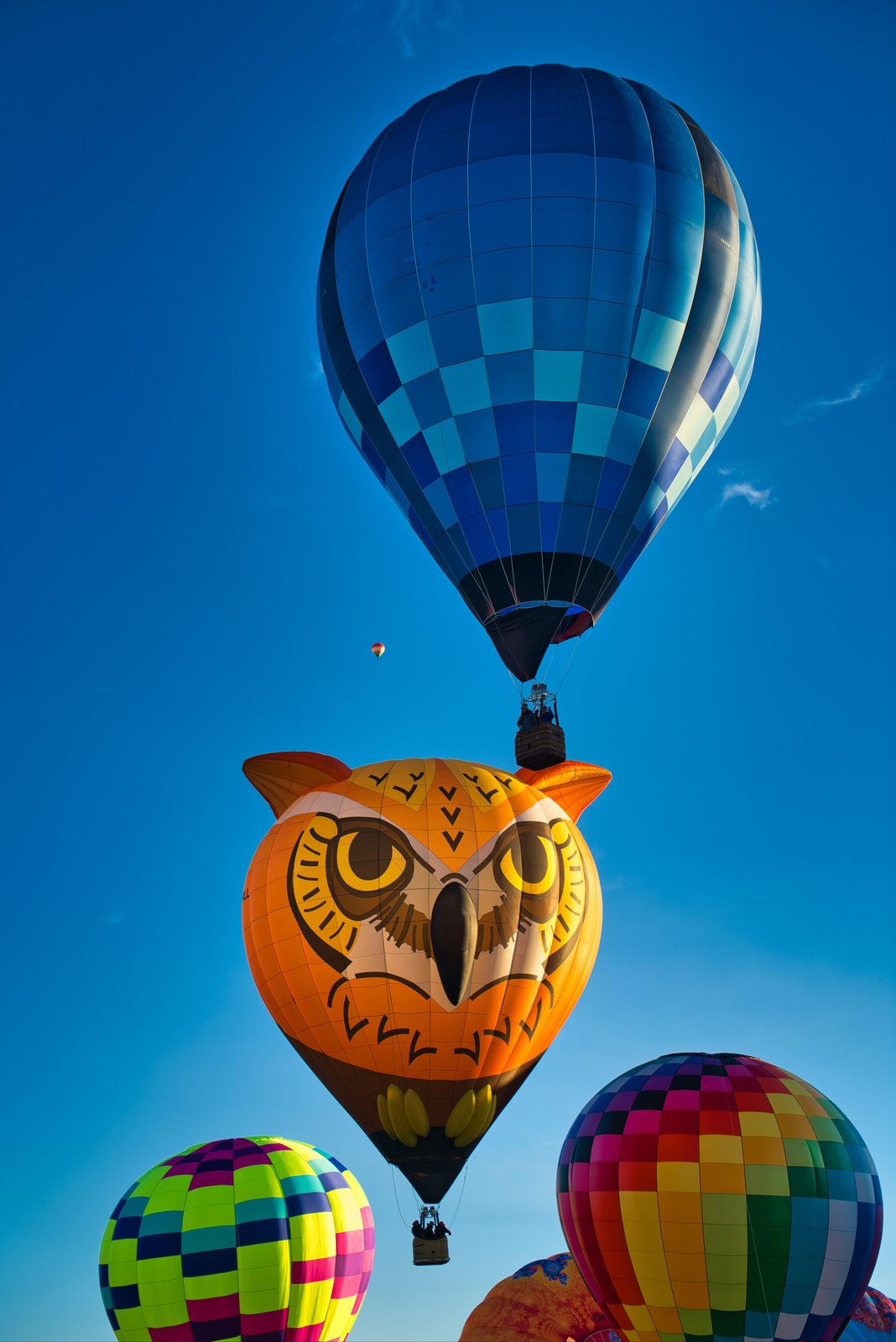 Whimsical Owl & Sky Balloons Wall Art