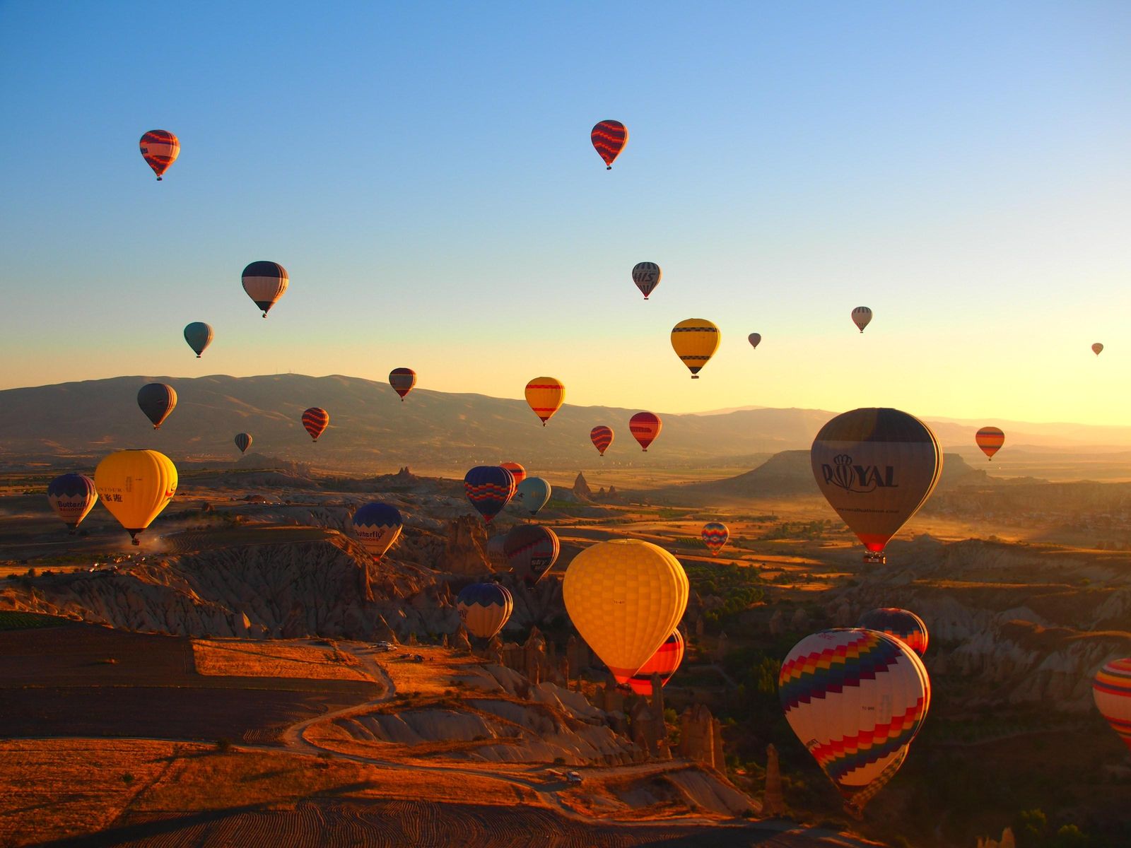 Cappadocia Hot Air Balloons Wall Art