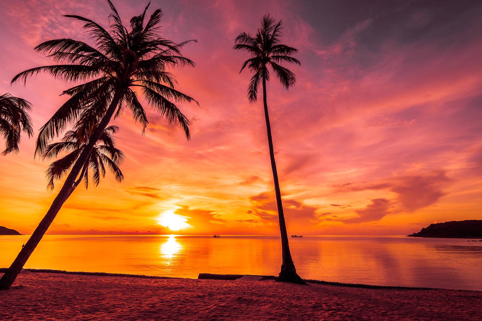 Tropical Sunset Palm Beach Wall Art
