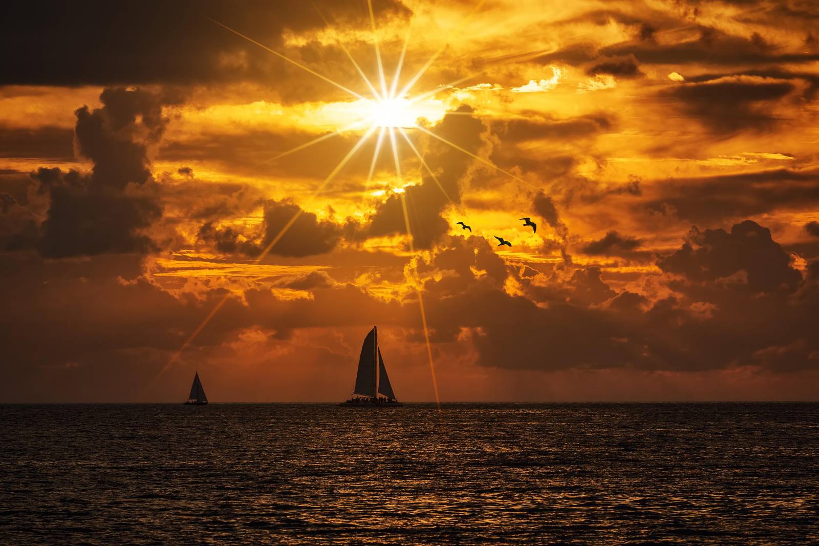 Golden Sunset Sailboat & Seagulls Wall Art
