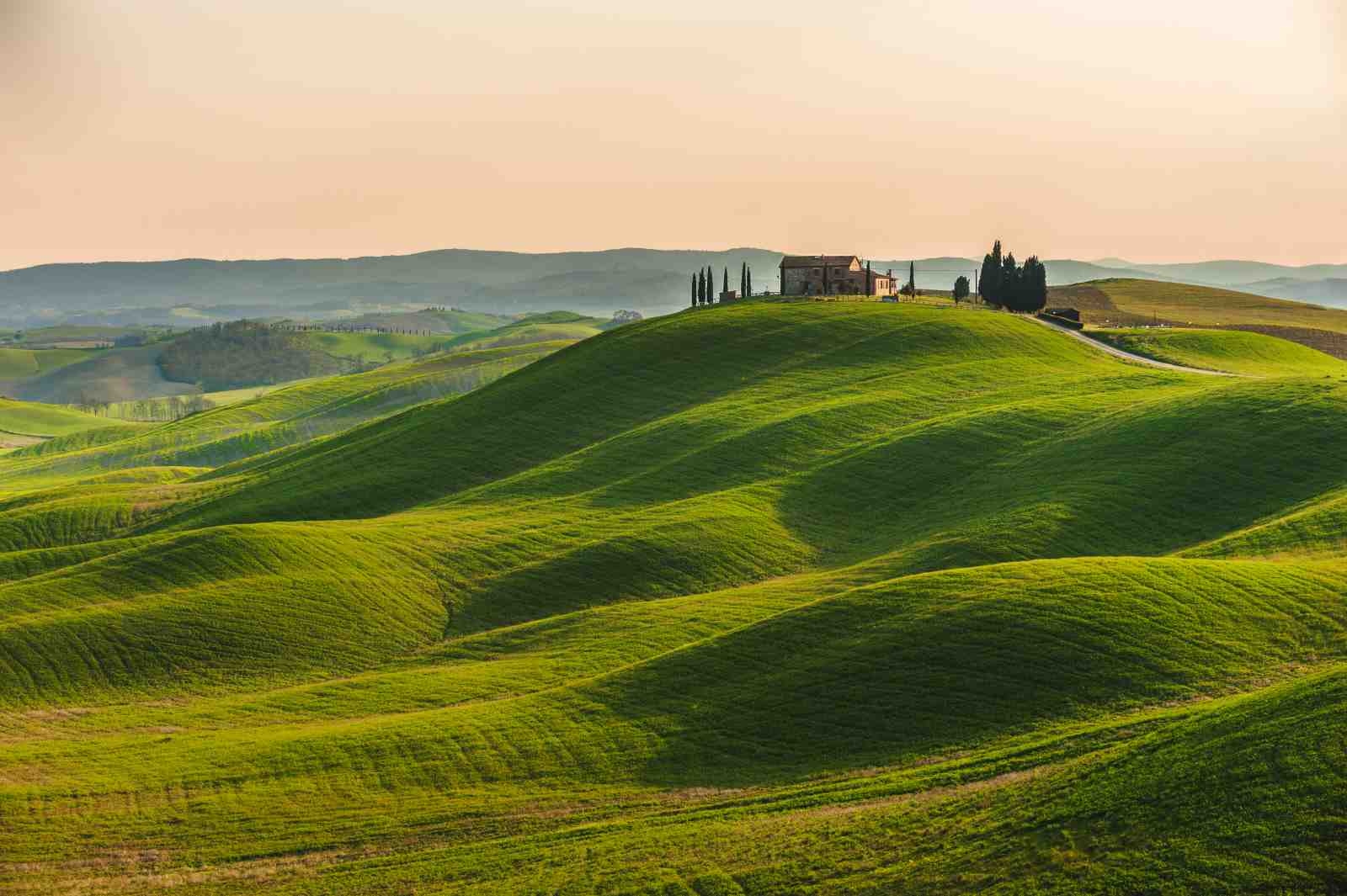 Tuscan Rolling Hills Landscape Wall Art